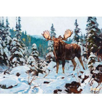 Bull Moose