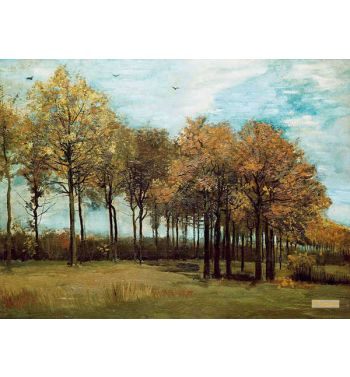 Autumn Landscape