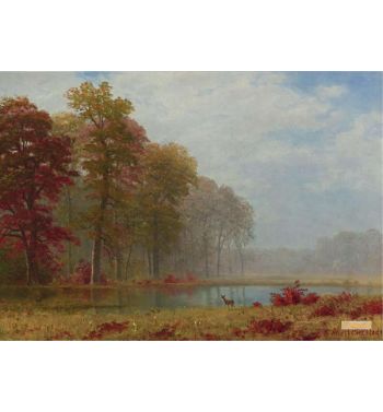 Autumn On The River
