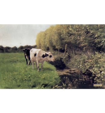 Cows To A Ditch