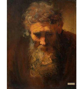 Old Man Widener