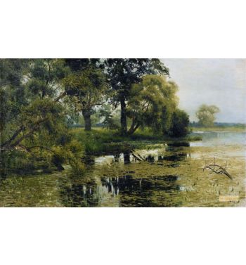 Overgrown Pond