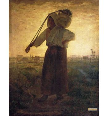 The Return Of The Fields