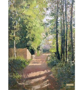 Path In A Wood In Normandy