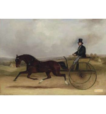 Confidence' A Celebrated American Trotter Performing A Match In Harness
