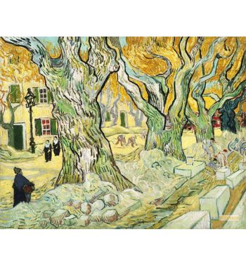 Large Plane Trees The Road Menders 2