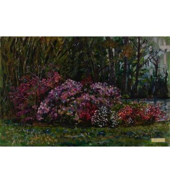Alicia's Azaleas On St, Mary's River