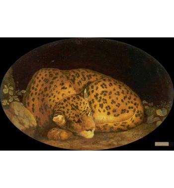 Sleeping Leopard