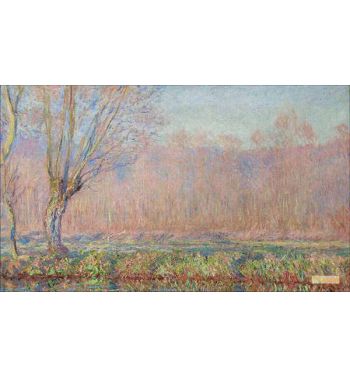 The Willows 1885