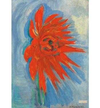 Red Chrysanthemum On Blue Background