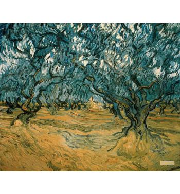 Olive Trees 3
