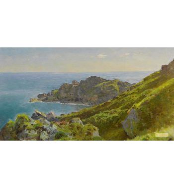 Coastline With Grassy Slope