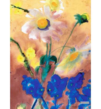 Flowers, White, Yellow, Blue
