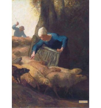 Counting The Flock 1847 49