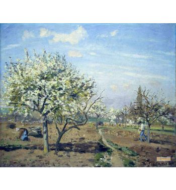 Orchard In Bloom Louviciennes