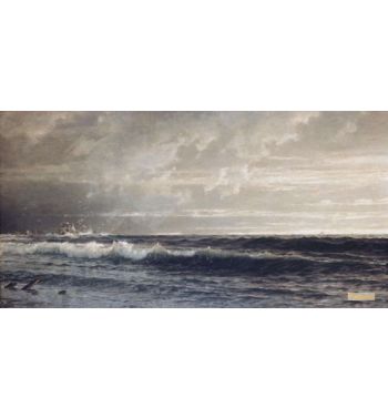 Near Land's End, Cornwall