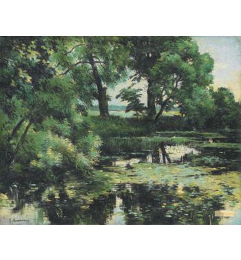 Overgrown Pond