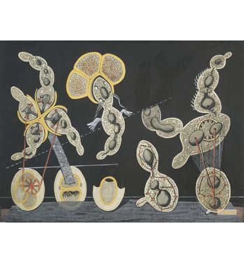 The Gramineous Bicycle Garnished With Bells The Dappled Fire Damps And The Echinoderms Bending The Spine To Look For Caresses