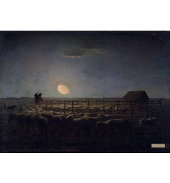 The Sheepfold Moonlight