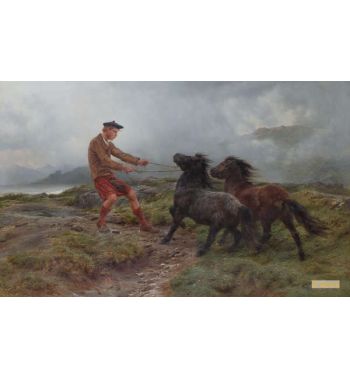 A Ghillie And Two Shetland Ponies In A Misty Landscape