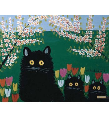 Three Black Cats, 1955