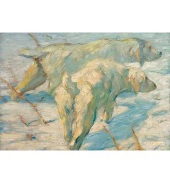 Siberian Shepherd Dogs In The Snow