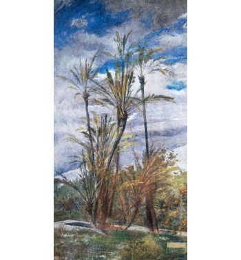 Palm And Orange Trees