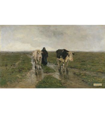 Changing Pasture Ca 1880S