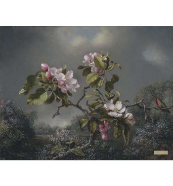 Apple Blossoms And Hummingbird 1871
