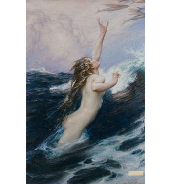 Flying Fish 1910