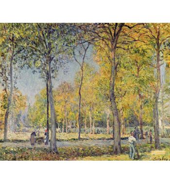 The Bois De Boulogne