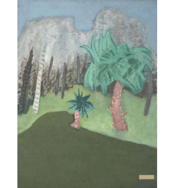 Florida Swamp, 1951