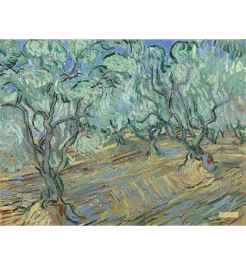 Olive Grove 4