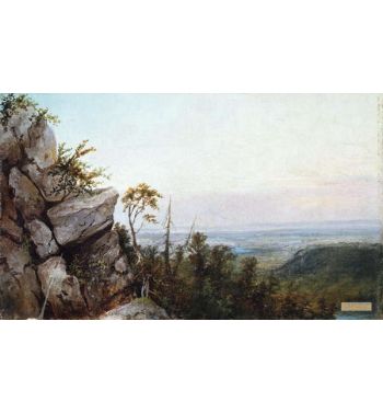 Rocks And Landscape