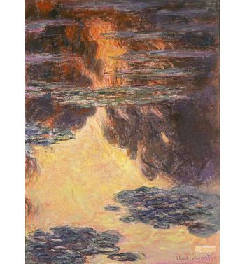 Water Lilies