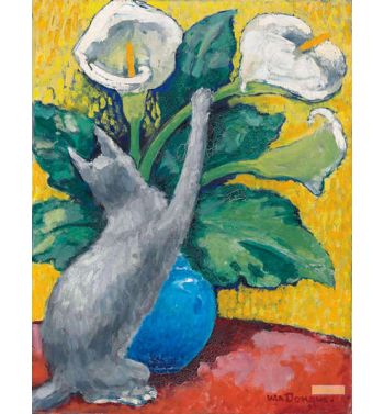 Cat Playing With Aromas
