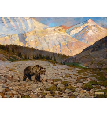 Grizzly Bear