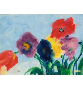Red And Blue Poppy