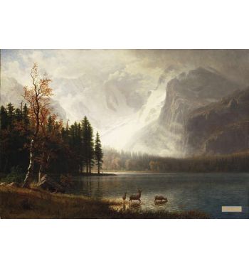 Estes Park Colorado Whytes Lake