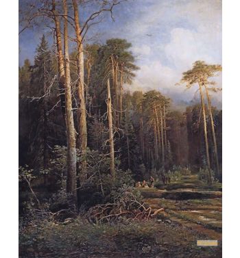 Road In The Forest