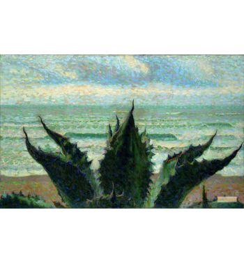 Agave On The Sea