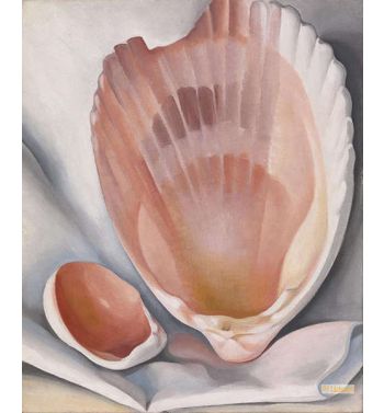 Two Pink Shells Pink Shell 1937