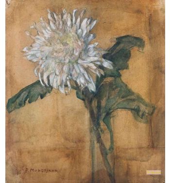 Chrysanthemum, 1