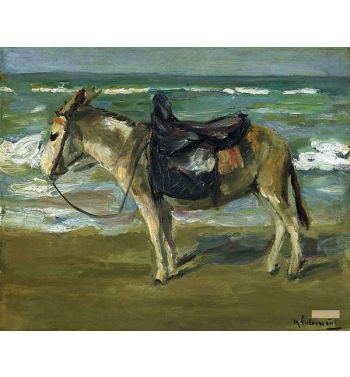 Riding On The Beach To The Left