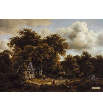 Road In The Woods