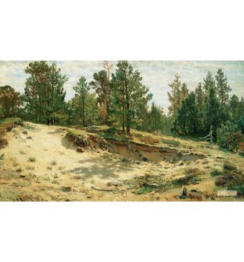 Young Pines On The Sandy Cliff Mary Howie On Finnish Railways 1890