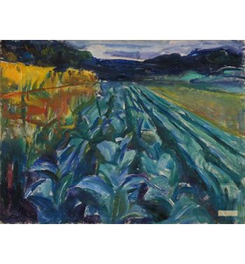 Cabbage Field, 1915
