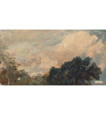 Cloud Study With Trees 