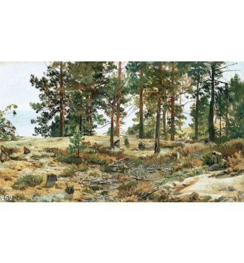 On Sandy Soil Mary Howie On Finnish Railways