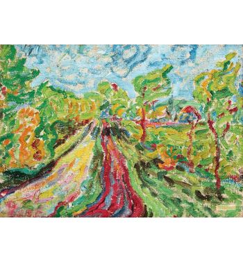 Weg Durch Busche